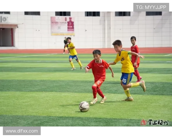 中国足球全力以赴推进青训体系建设与联赛竞争力提升